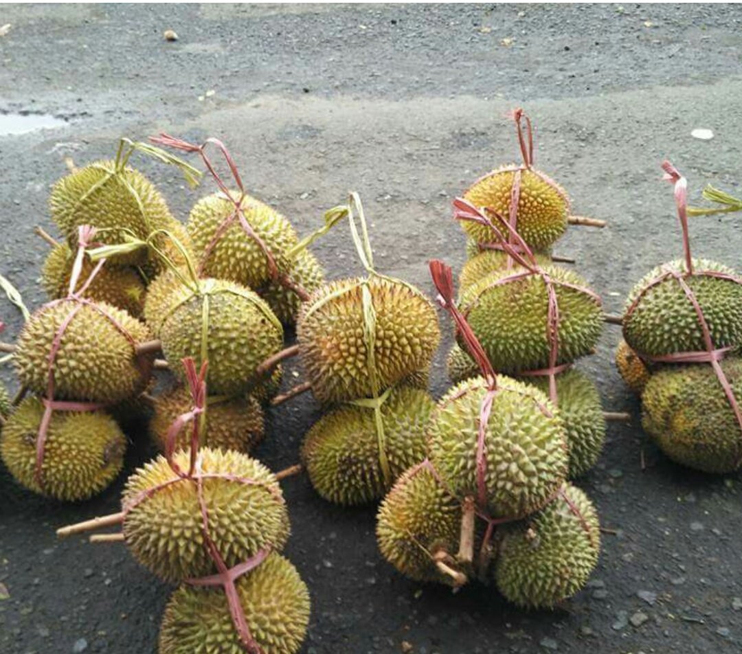 DDeewee_01's tweet photo. contoh potensi SDA hasil pertanian &amp; perkebunan yg Bila dikolaborasikan bisa menjadi salah satu Prukades, Bumdes bisa mewujudkannya, namun sudah siapkah SDM??? Semoga
#Prukades
#TPPIMamuju 
@jokowi 
@EkoSandjojo 
@anwsanusi 
@taufikmadjid71 
@Nurhamz25186363 https://t.co/zWesMvae27