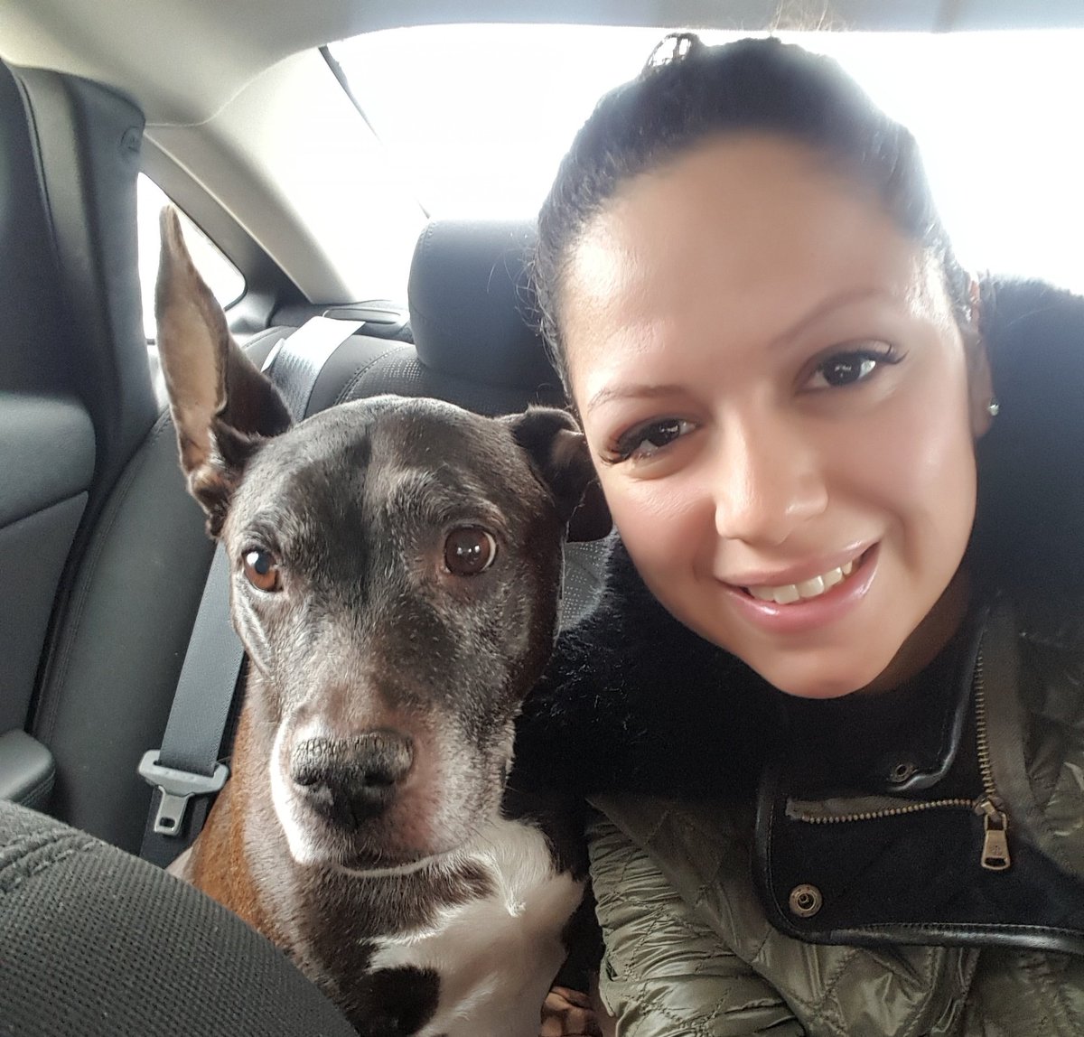 minasaywhat's tweet photo. Our last pics. my little pumpkin. my bff for 11 yrs. always by my side, protecting me. Full of personality, always hungry, loyal, smart, funny, slighty stubborn, a free spirit. a gift from God to be my companion as i chase my dreams. i will miss her #RIPVenus #VenusFightsCancer https://t.co/fqsiXMj87e
