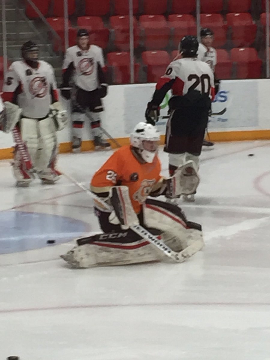 Coaldale Copperheads tweet media