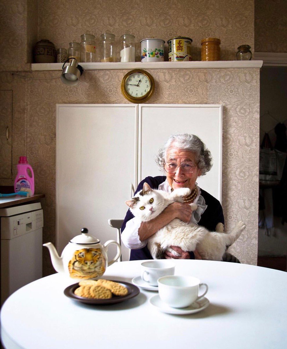 David Walliams HQ tweet media