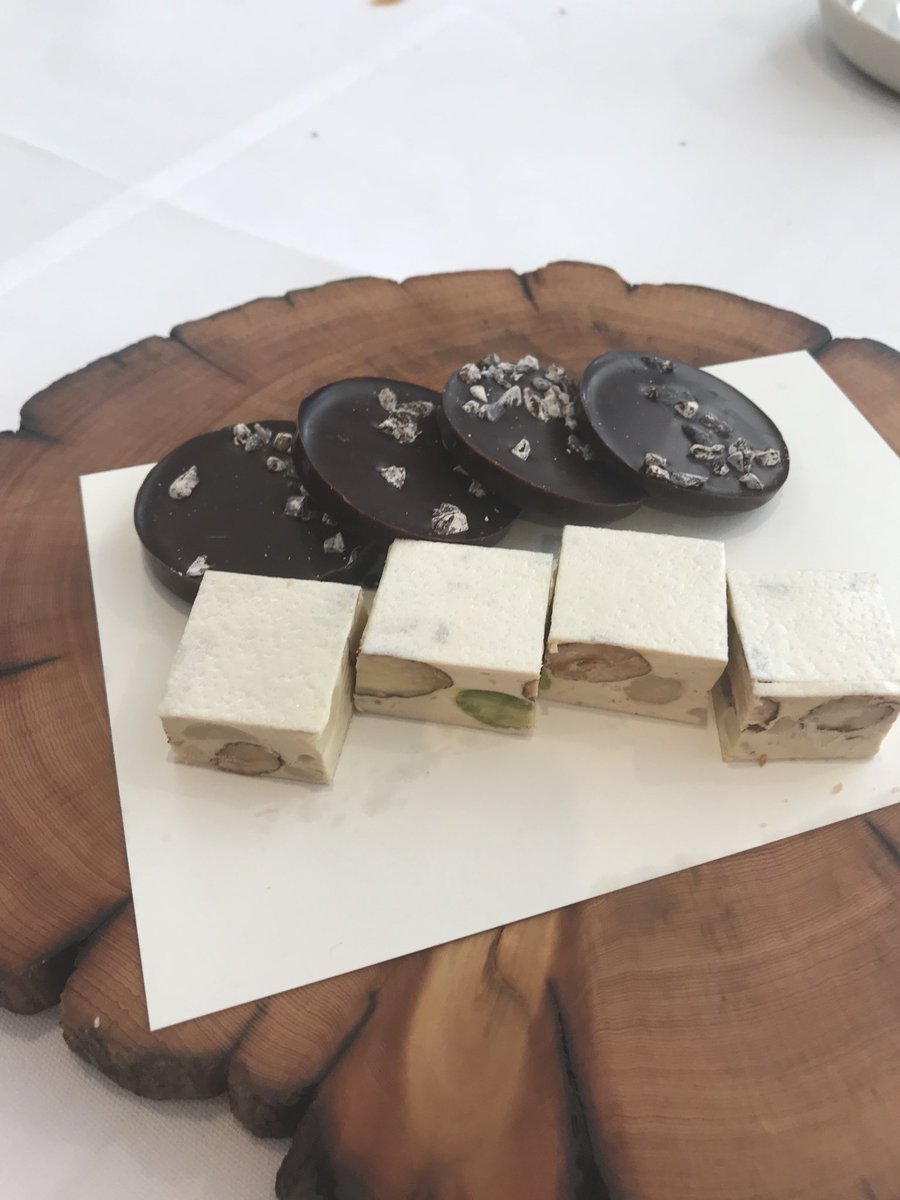 #Aria #Sydney #Nougat #AnOdeToMentors