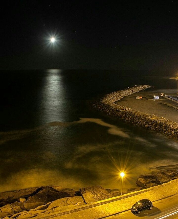 MarDelPlataARG's tweet image. Hablame de BELLEZA
La luna, el mar, las luces y #MarDelPlata
#Argentina 
(📷 @ abeldarioraffo)