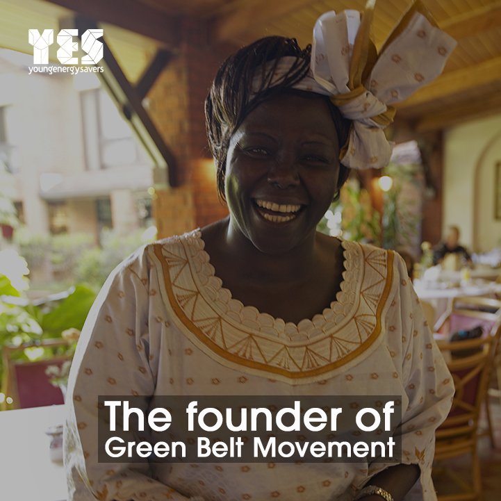 Young Energy Savers tweet media