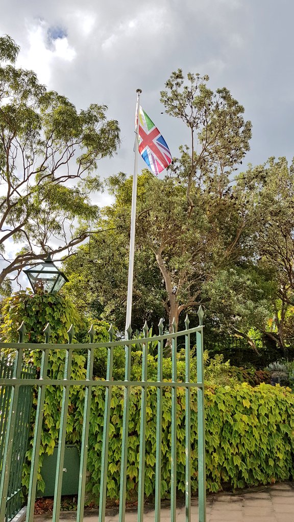 Lily Pai 👩🏻 tweet media