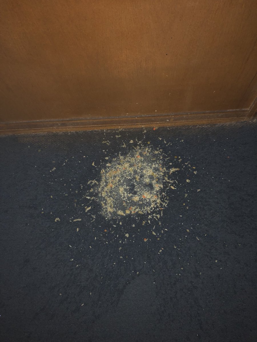 Sv3nny's tweet photo. @Anita_PvR Check dit dan 😳 jij bent wel naar binnen gegaan toch?  RT @hauntedmuseum: Another guest vomited right after seeing the dybbuk box today. https://t.co/9tTUjTtl9T