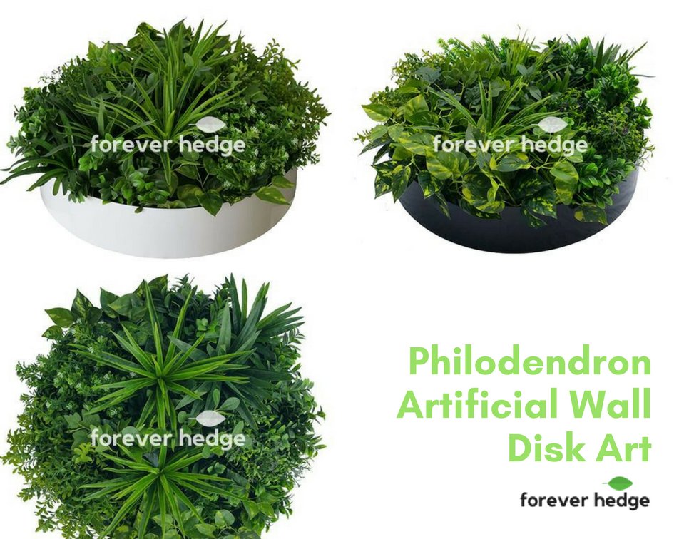 forever_hedge's tweet photo. What you need to do when you have an #Artificialgrass >> 
1. Hose off dust regularly
2. Give a good brush to it
.
Get this no hard work greenery now >> https://t.co/pWevdSZ2z2
.
#shopping #ecommerce #ForeverHedge #designers #artists #ThursdayThoughts #interiordesign #plantdecor https://t.co/d51OfQq049
