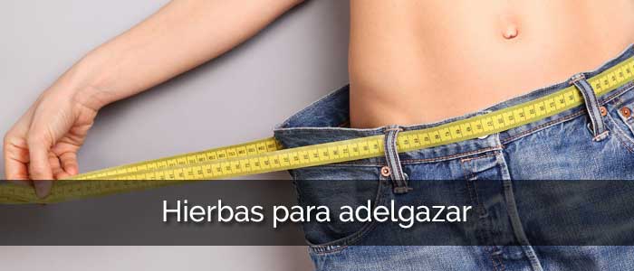 hierbaspara's tweet photo. Hierbas para adelgazar https://t.co/ilqKLRbC4V https://t.co/su32yy2gq3