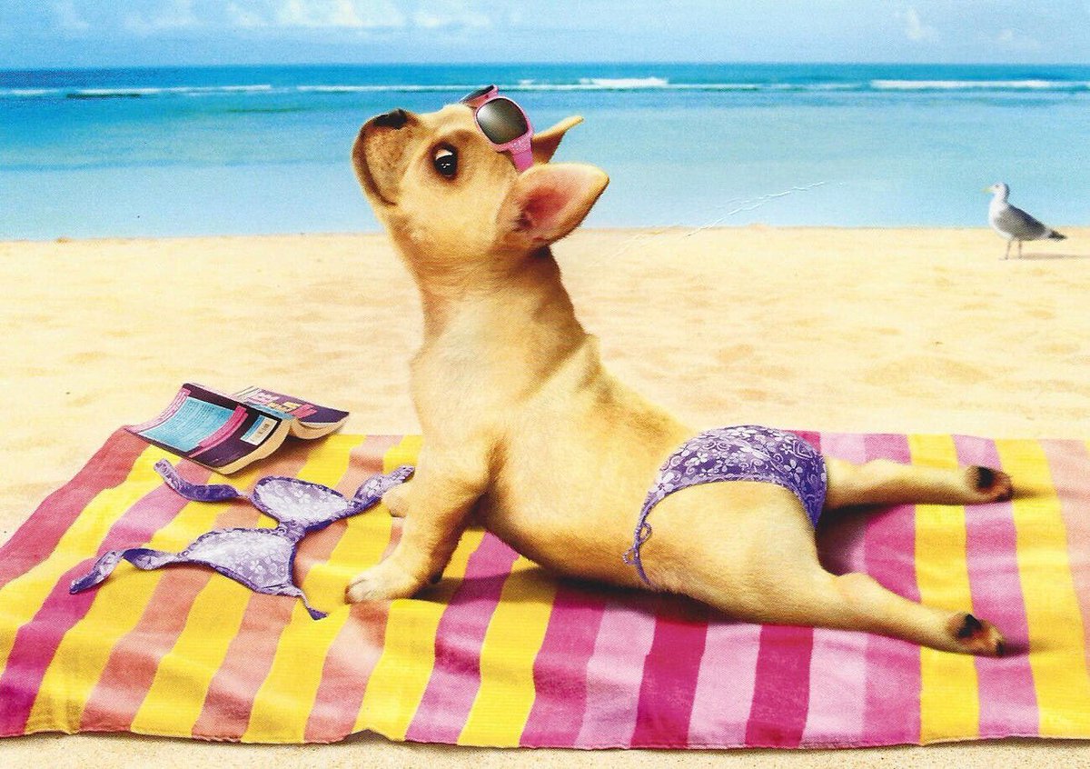 🍭С праздником ВАС🔥 красивые, обворожительные, утончённые, бесподобные, бесценные, весёлые, добрые, жизнерадостные, идеальные, лучшие, милые,ненаглядные, неповторимые, незабываемые, необыкновенные, обаятельные, остроумные, роскошные, сказочные, удивительные и фантастические!!!💐