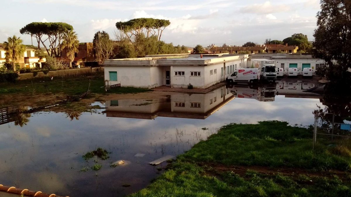 G_anzio's tweet image. Non è un #fotomontaggio.
Questo è il retro della scuola Collodi di #Anzio #Lavinio ieri mattina.
1500 bambini.

E con l'alzarsi delle temperature le larve di insetti proliferano indisturbate.

A giugno si vota. #M5S primo partito ad Anzio.
Diamo una possibilità a questa città.