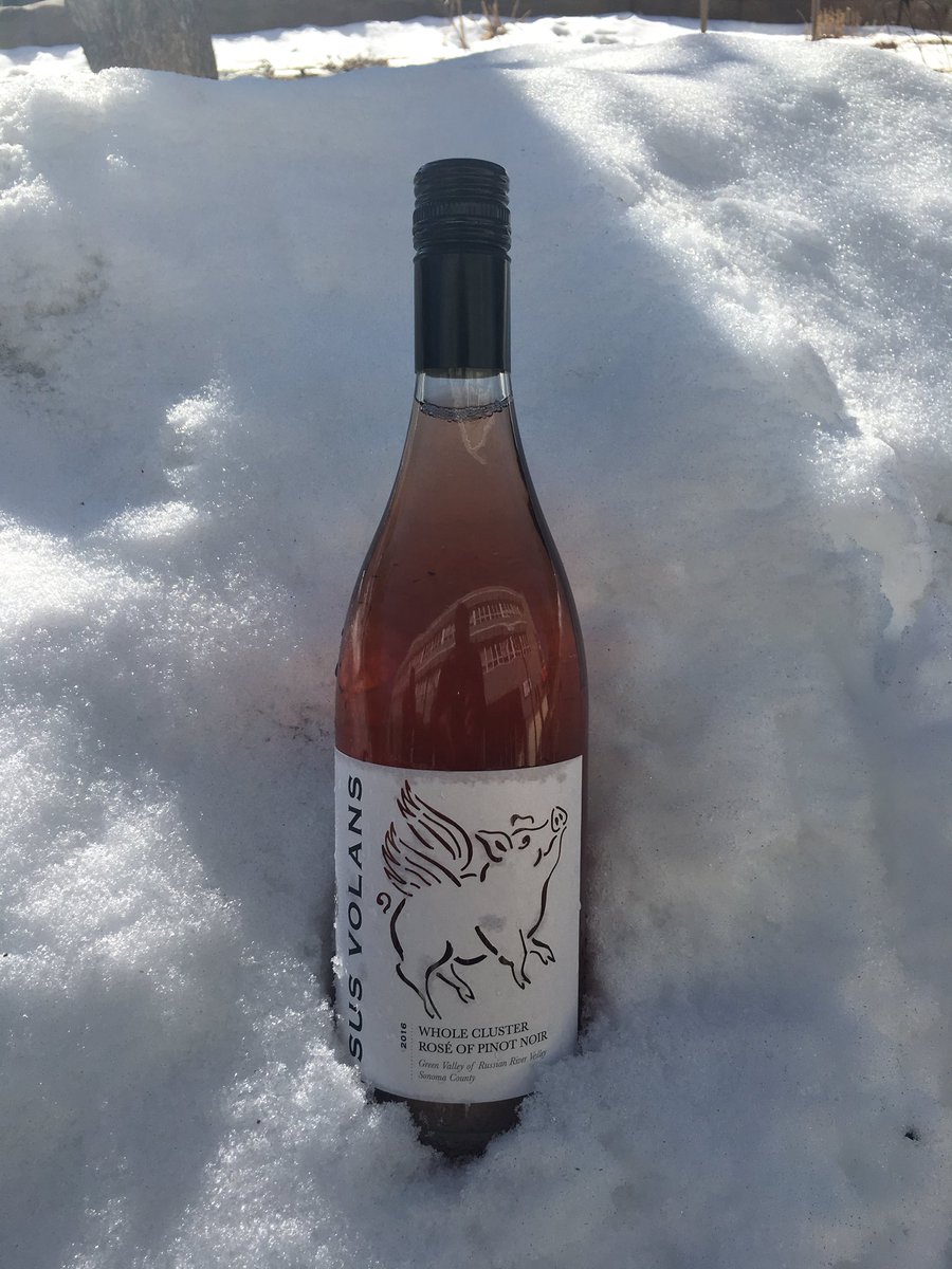 Pigasus chilling in Nature’s ice bucket. #camlowcellars #rosè #wegrowthegrapeswemakethewine #magnaporcum