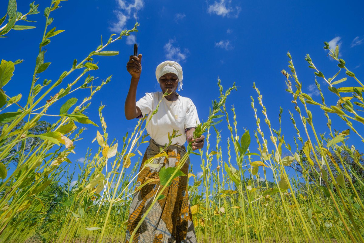 CARE Tanzania (@CARETanzania) | Twitter