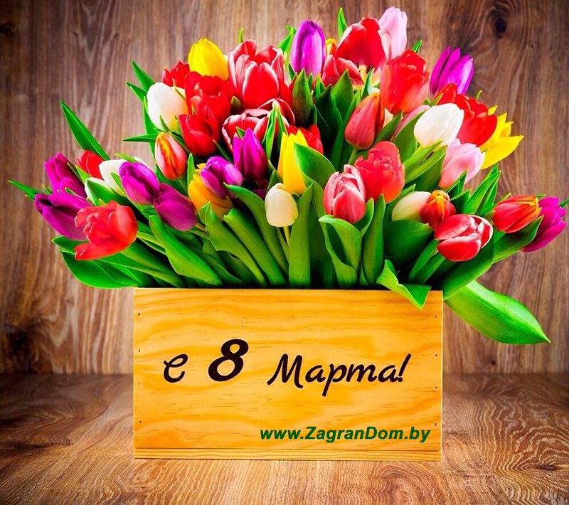 ZagranDomBy's tweet photo. #8марта #весна #заграндом https://t.co/Csg94EfeH5