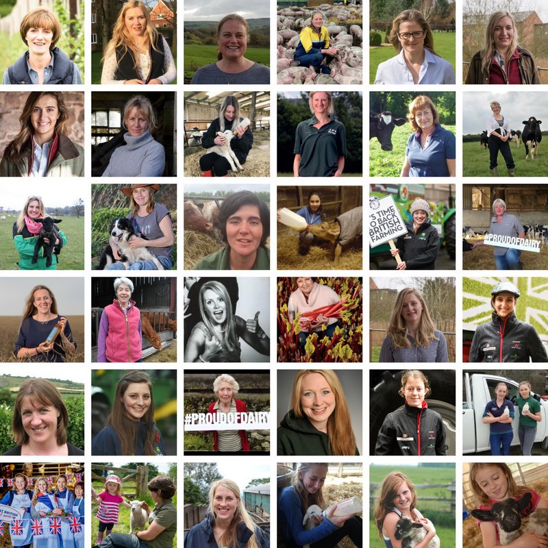 #InternationalWomensDay let's us celebrate the thousands of British women farmers who help to feed the nation 🚜🚜🚜🚜