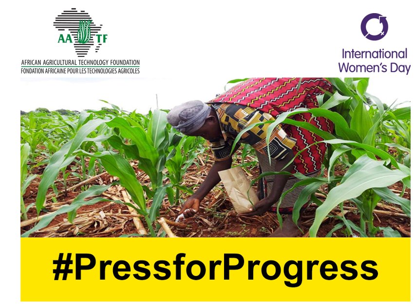 aatfafrica's tweet photo. While women make up a large share of Africa’s #farmers, they tend to be locked out of land ownership &amp; other factors essential 4 production. We celebrate #women  for their role in Agric. #IWD2018

@gatesfoundation @DFID_UK @ScienceAlly @CropLifeIntl @NPCACAADP @CIAT_Africa @ILRI https://t.co/LlWRdikN5V