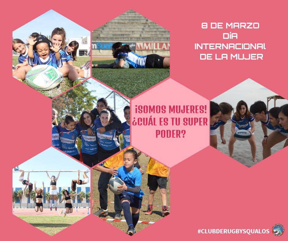 Rugby Squalos (@rugbysqualos) on Twitter photo 
