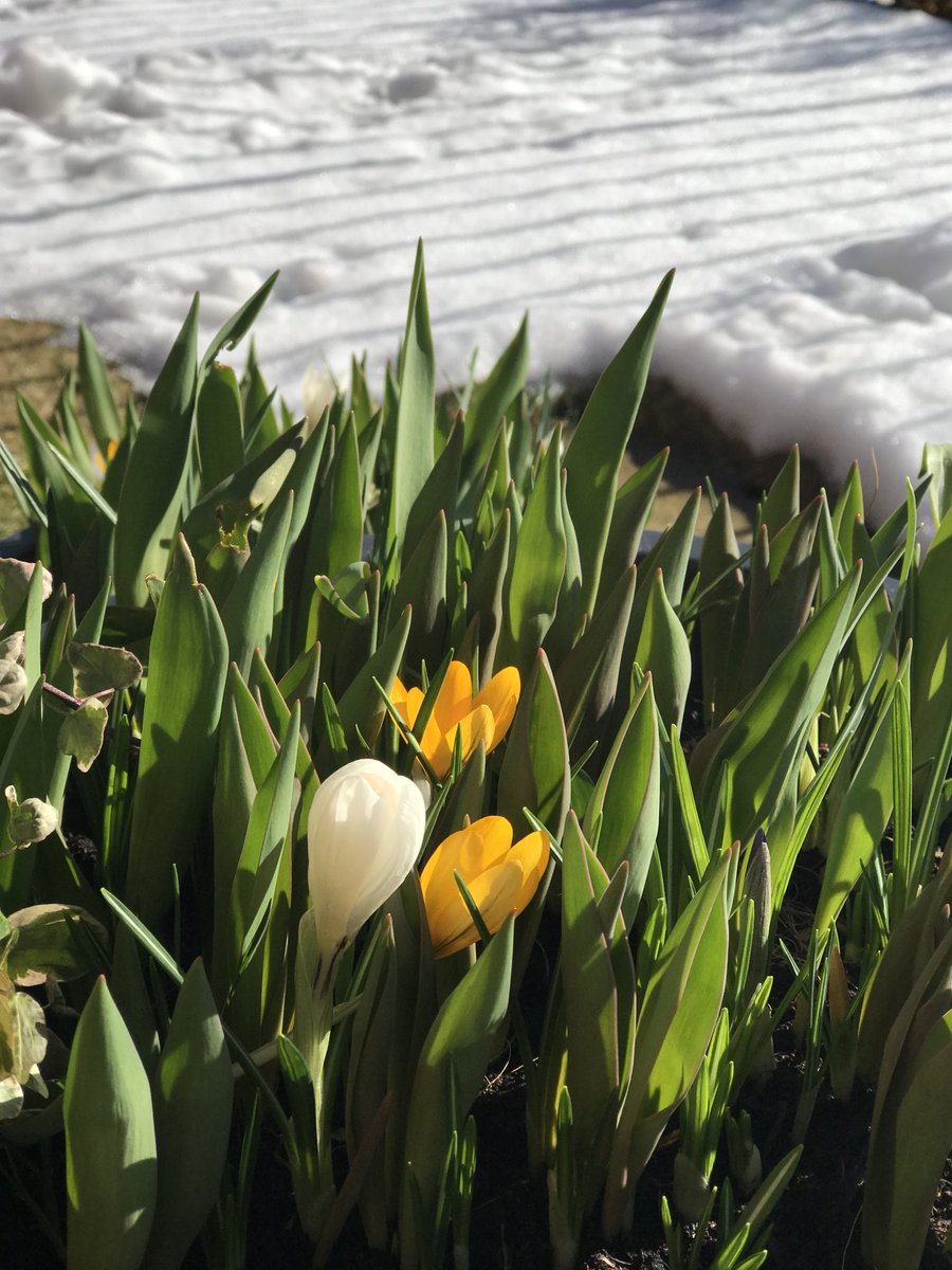 Spring’s back! Woo Hoo!!