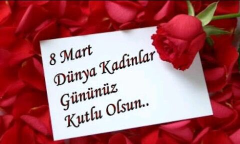 lrbycocos's tweet photo. #8MartDünyaEmekçiKadınlarGünü Kutlu Olsun 🌺🌺🌺🌺💐💐💐💐 https://t.co/SgPfvUjC4h