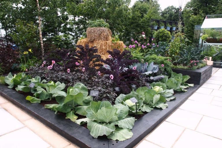 Beth Otway (Pumpkin Beth) 🌱 tweet media