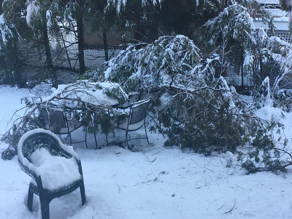 Dalton Ross tweet media