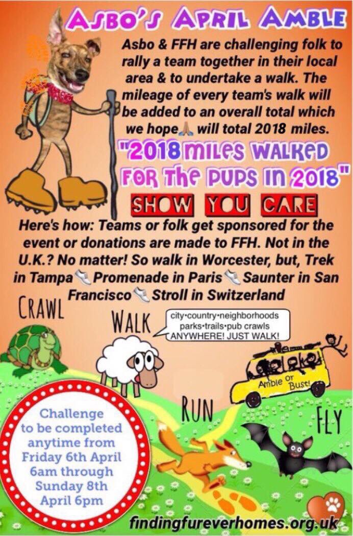 karen73984451's tweet image. #ThursdayThoughts  #Asbos April Amble 🙌🙌🙌🙌plz join FFH trying to raise £2018 n walk 2018 miles all info @Nightowl400