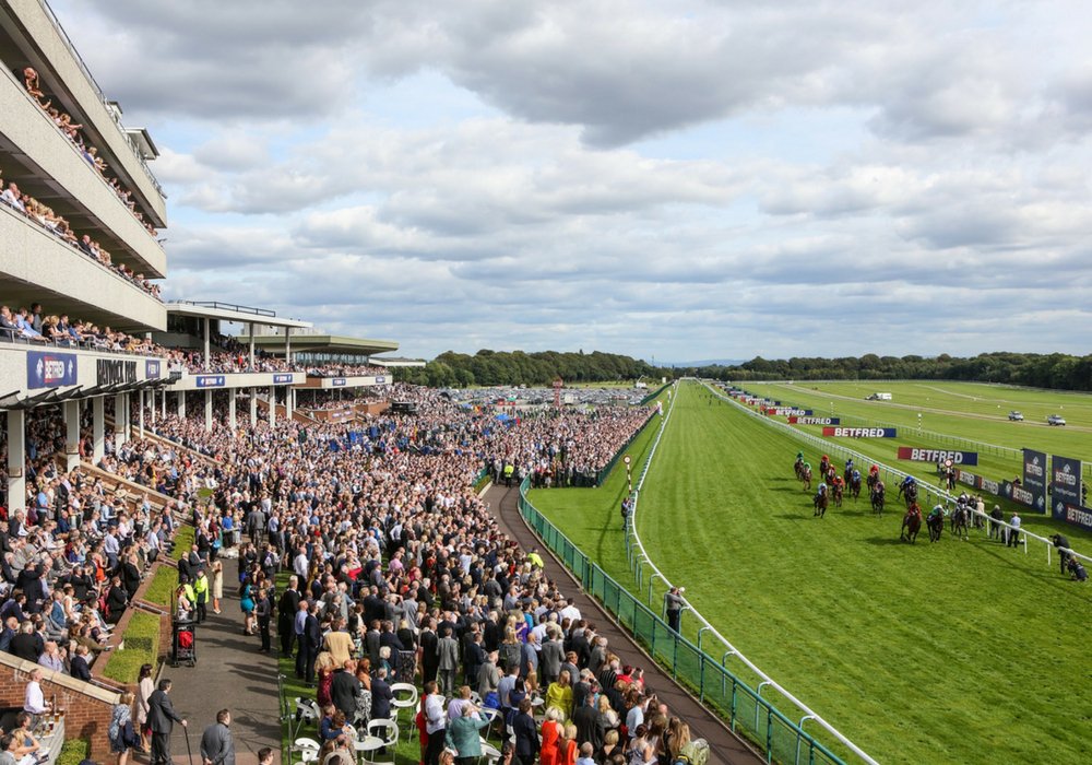 We're delighted to announce that we have been voted one of the <a href="/RCAShowcase/">RCA Showcase</a> Top 12 racecourses for visitor experience 🏇🏆👏