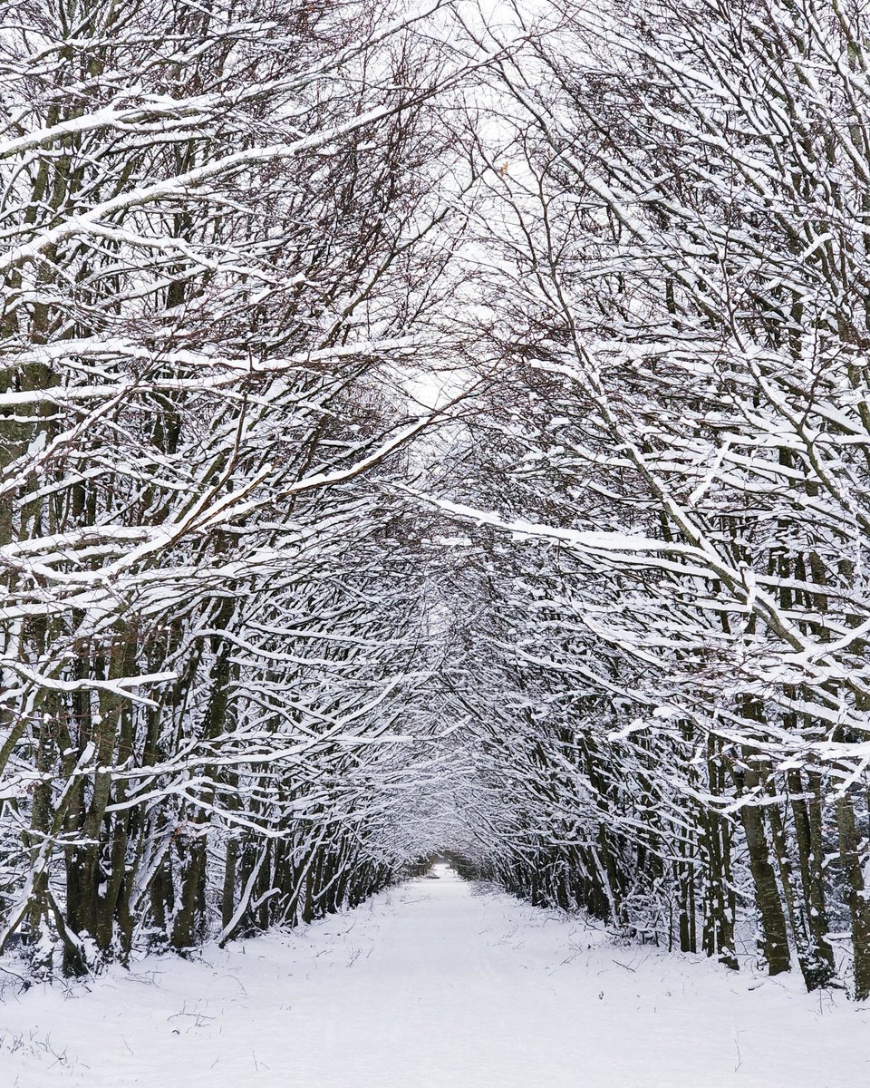 MischiefMediaIE's tweet photo. Not only was it beautiful out last week during the #BeastFromTheEast, it was great for gathering a bit of future Christmas content for clients 😋 Did you get any good snaps? #ShotOnOnePlus https://t.co/Diowpq4aAB