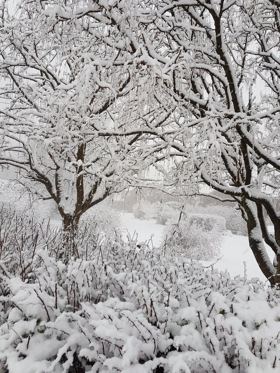 Unexpected snow day 😨