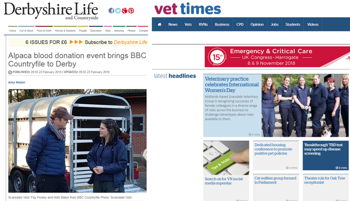 firebird_pr's tweet photo. Loving the coverage we've recently achieved for client @ScarsdaleVets! Here's @derbyshirelife covering the #alpaca blood donation event & @vettimesuk celebrating #internationalwomensday2018 - go girls! #veterinarypr #media #coverage #IWD2018 https://t.co/pcomQZfWKl
