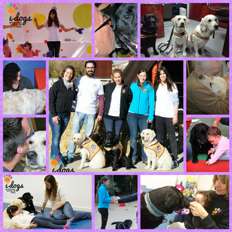 asociacionidogs's tweet photo. #idogs es un proyecto que se ha hecho realidad gracias a muchas #mujeres y a nuestras compañeras perrunas 🐾🐾.  Hoy queremos dar las gracias a todas las mujeres que componen este  maravilloso proyecto, 😍#DiaDeLaMujer #diadelamujertrabajadora #DiaInternacionalDeLaMujer https://t.co/egGcxHJgEP