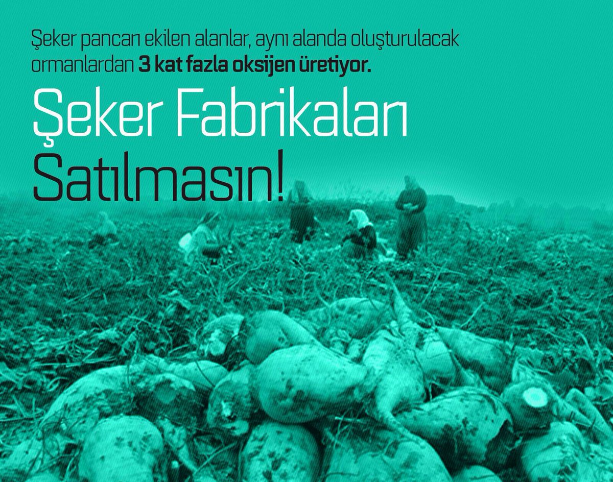 OsmanAcil1's tweet photo. betonlaşma değil yeşillik sana hayat verir emperyalist güçlerin uşağı oayın ejdadın gibi dik dur eğilme #ŞekerdeMilliKalalım https://t.co/KASQzrryPU
