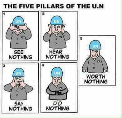 Anonymous4571's tweet photo. https://t.co/6NhZCbUw34