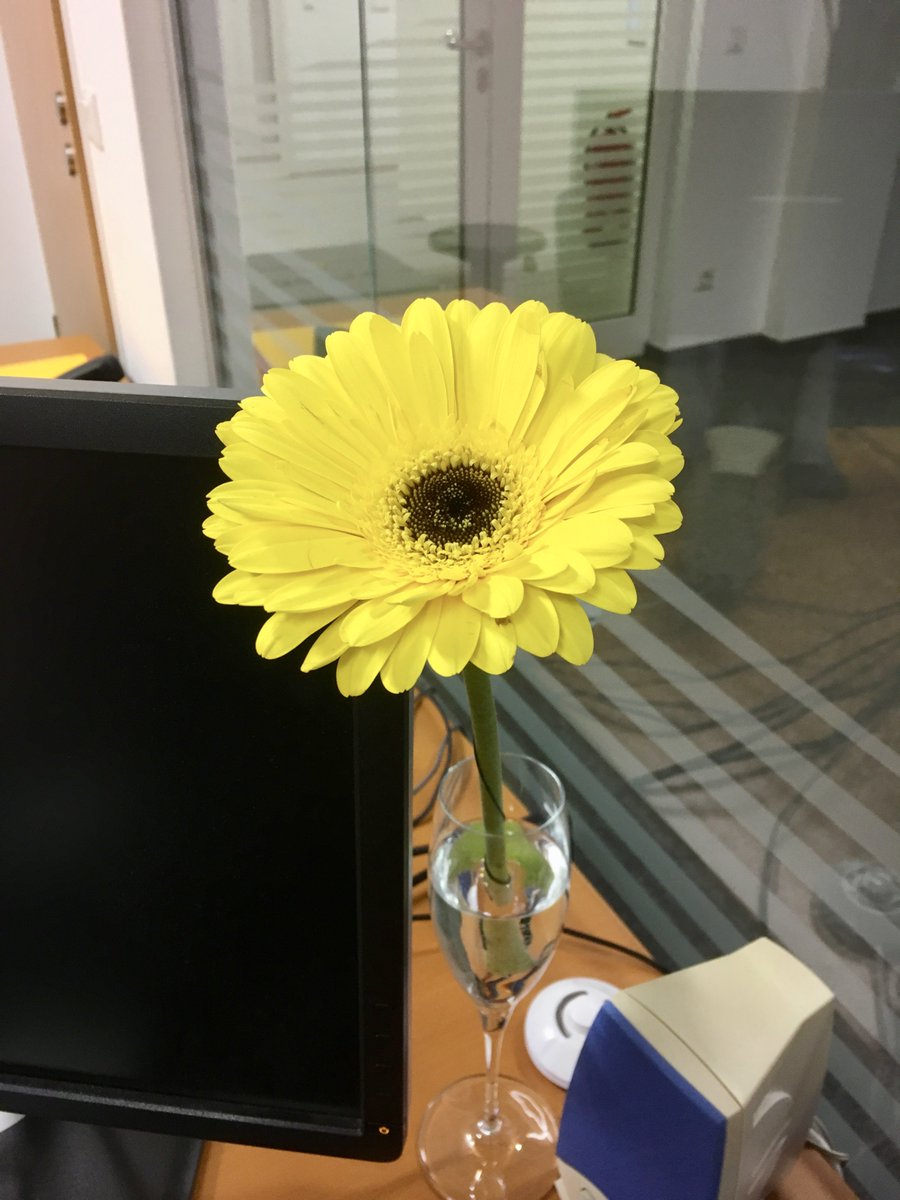 tripuls's tweet photo. #Equalpay und Work-Life-Balance haben wir (meistens) im Griff. Und Blumen gibt's heute auch. #Weltfrauentag https://t.co/Mz8GuSQeYL