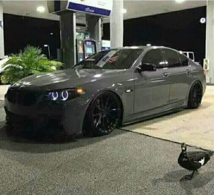 Daniel Ldt Ttnt tweet media