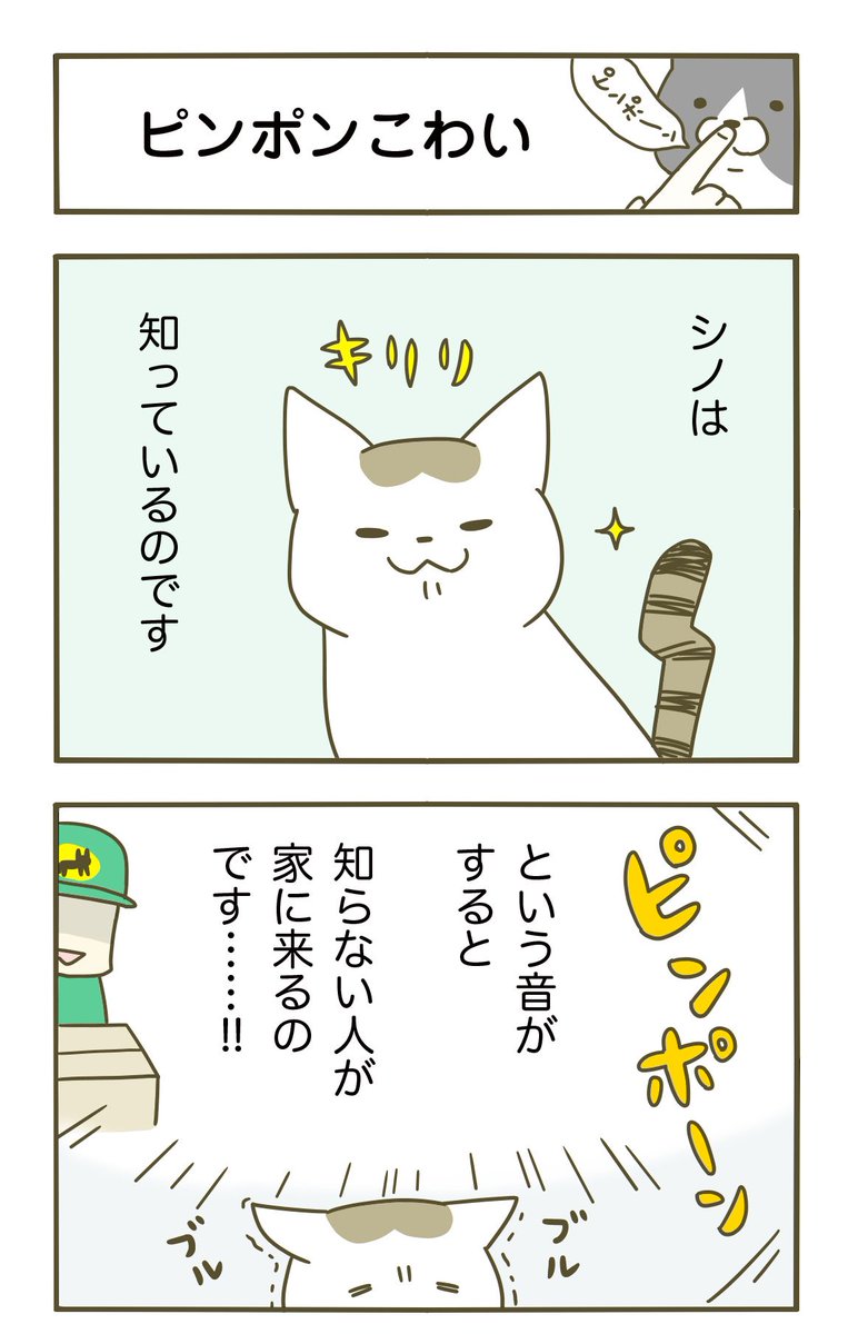 うち の 猫 が また 変 な こと し てる