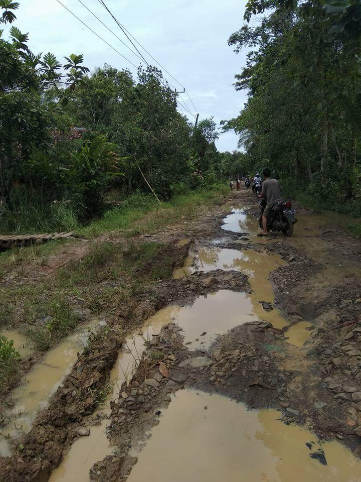 RatnaWi17484255's tweet photo. Jalan utama yg g' pernah tersentuh bantuan desa kubang kampil pandeglang banten@tvOneNews https://t.co/X6bZ4kUMAg