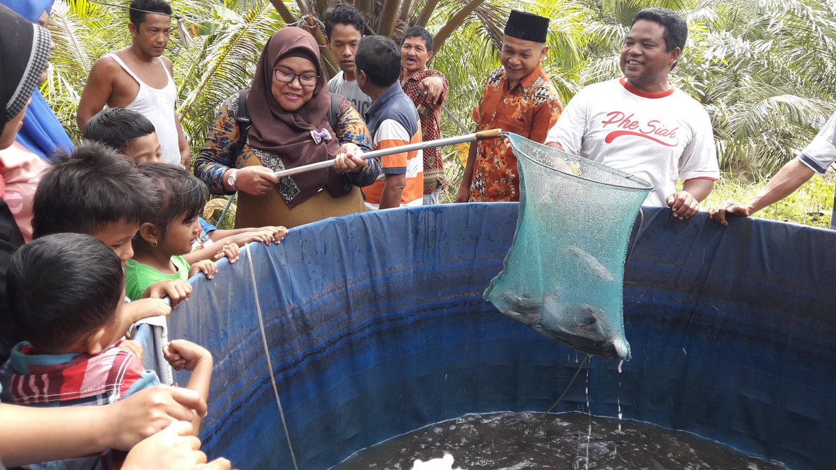 LizaRiau's tweet photo. #Prukades Lele dengan Sistem Bioflok Desa Pematang Obo Kec. Bathin Solapan utk memenuhi gizi seimbang keluarga yang sehat dan cerdas.

#riau
#KabupatenBengkalis

@Jokowi
@EkoSandjojo
@anwsanusi
@taufikmadjid71
@fachrilabalado 
@arwani_p3md 
@DodiShawana 
@tppindonesia 
@tppiriau https://t.co/IuivgwGZdD