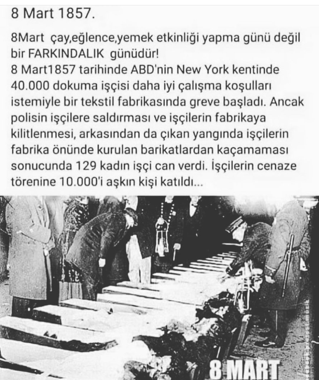 Mehmed Emin Avanas Avanasemin Twitter