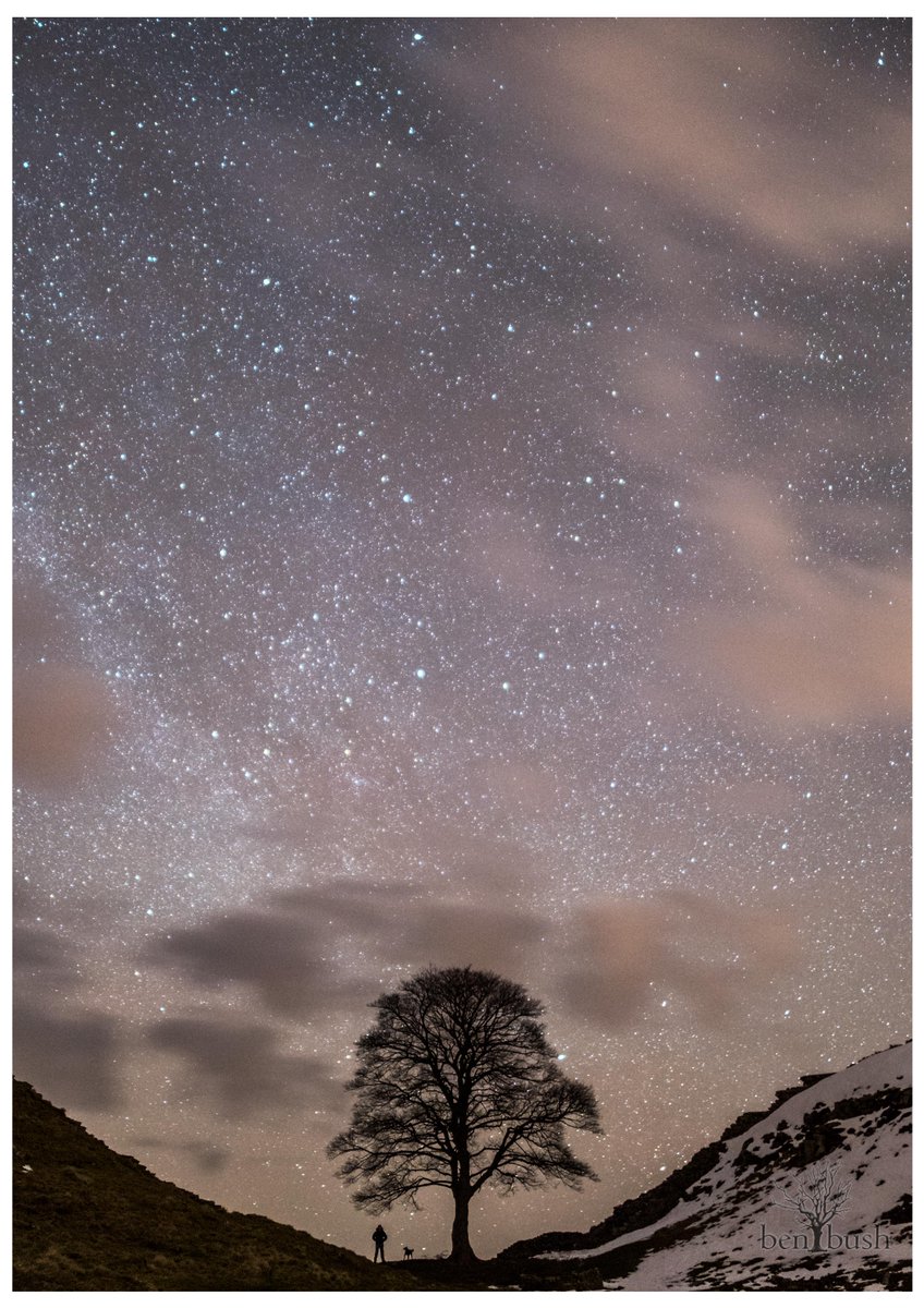 One man, his dog, that tree &amp; a billion stars.  Sycamore Gap late last night <a href="/HadriansWall/">Hadrian's Wall</a> <a href="/NTHadriansWall/">NTHadrian'sWall&Tyne</a> <a href="/EHHadriansWall/">EHHadriansWall</a> #Hadrian
