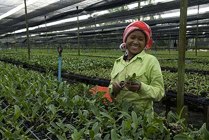 Today, less than 20 per cent of landholders worldwide are #women. In rural areas the #GenderPayGap  is as high as 40 per cent. Women in the #rural economy should have greater voice, organization and representation driven by #SocialDialogue and #CollectiveBargaining. #IWD2018