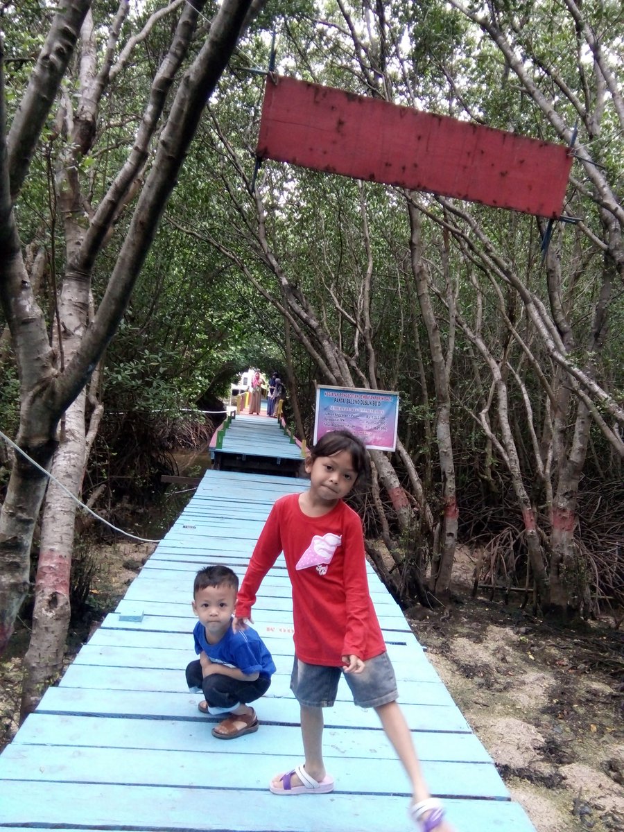 firdauspakaraya's tweet photo. #Prukades Berkat Dana Desa Wisata Mangrof Desa Binanga Majene Sulbar dpt dinikmati masyarakat @jokowi @EkoSandjojo @anwsanusi @taufikmadjid71 @fachrilabalado https://t.co/xMF8vp8Mdw