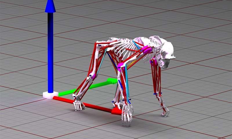 AnalyticsVidhya's tweet photo. #AVBytes Animal simulations are getting even more lifelike thanks to machine learning! Researchers have developed an algorithm to study animal movement and create an incredibly accurate replica. Check out the video inside
https://t.co/Mg4hIeXh36 #MachineLearning #AnimalSimulation https://t.co/s8KleA2YX2