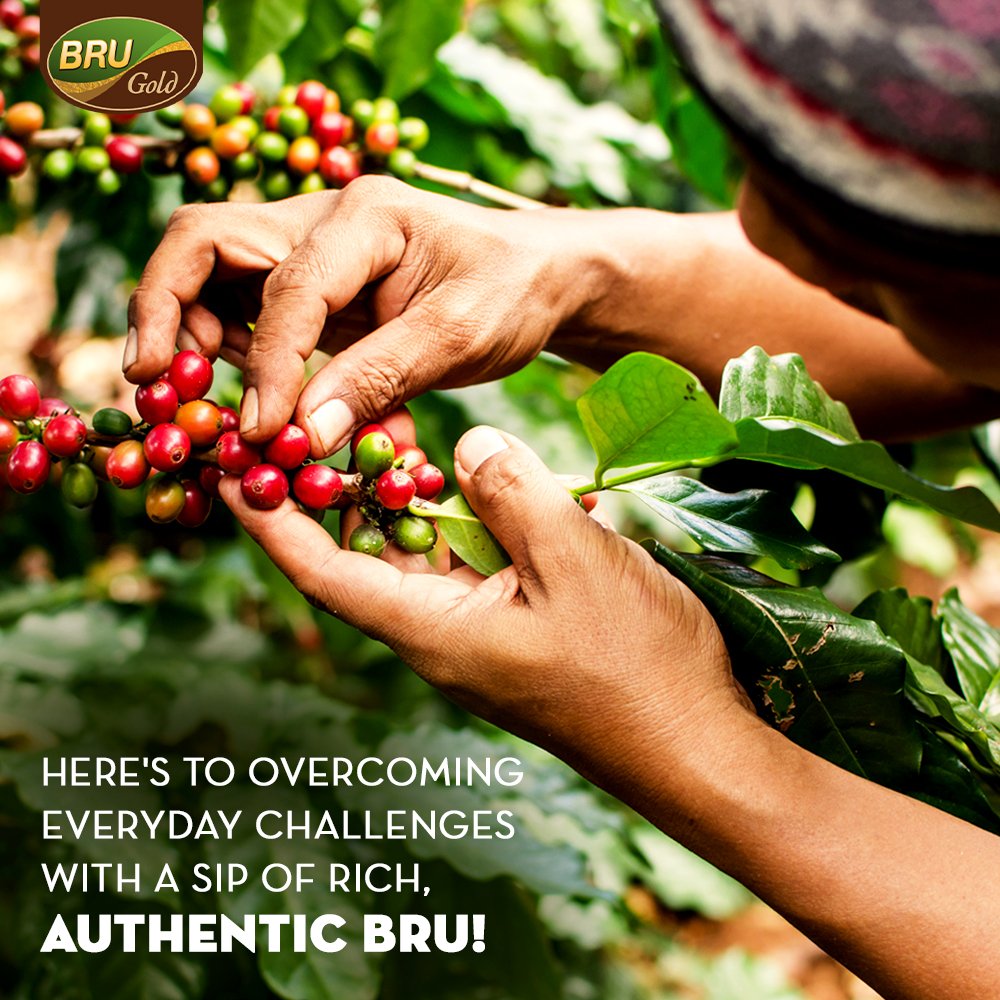 This Women's Day, we celebrate the efforts of all those women who work passionately and tirelessly in plantations to give us the most authentic, rich cup of Bru.

#HappyWomensDay #BruGold #Coffee #Rich #CoffeeLovers #SaluteWomen