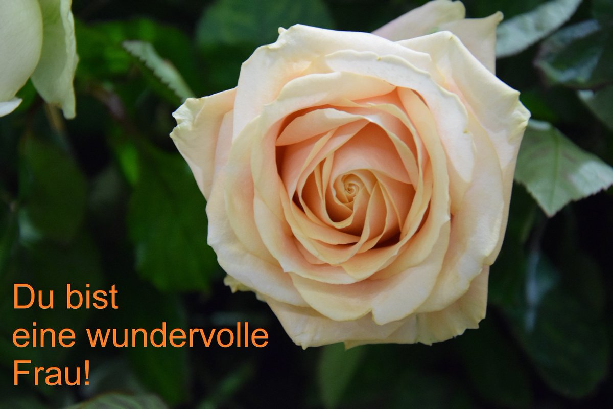 Get Wundervolle frau For iPhone Wundervolle Frau