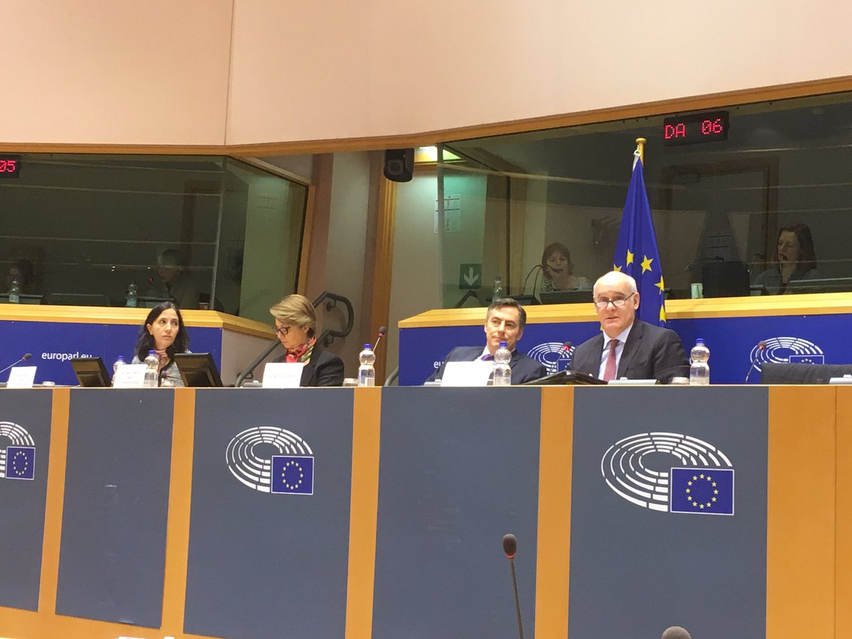 ArneLietz's tweet photo. .@ValedeAlmeidaEU welcomes initiative of @Europarl_EN for the #climatediplomacy - report as very helpful for @EU_Commission work on climate! https://t.co/WvJamvOdqG