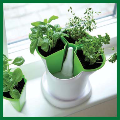 StewartGarden's tweet photo. #welovegardens The joys of your own fresh herbs, all year round ? https://t.co/MEMRWPOX2c https://t.co/UTeZnWswQn