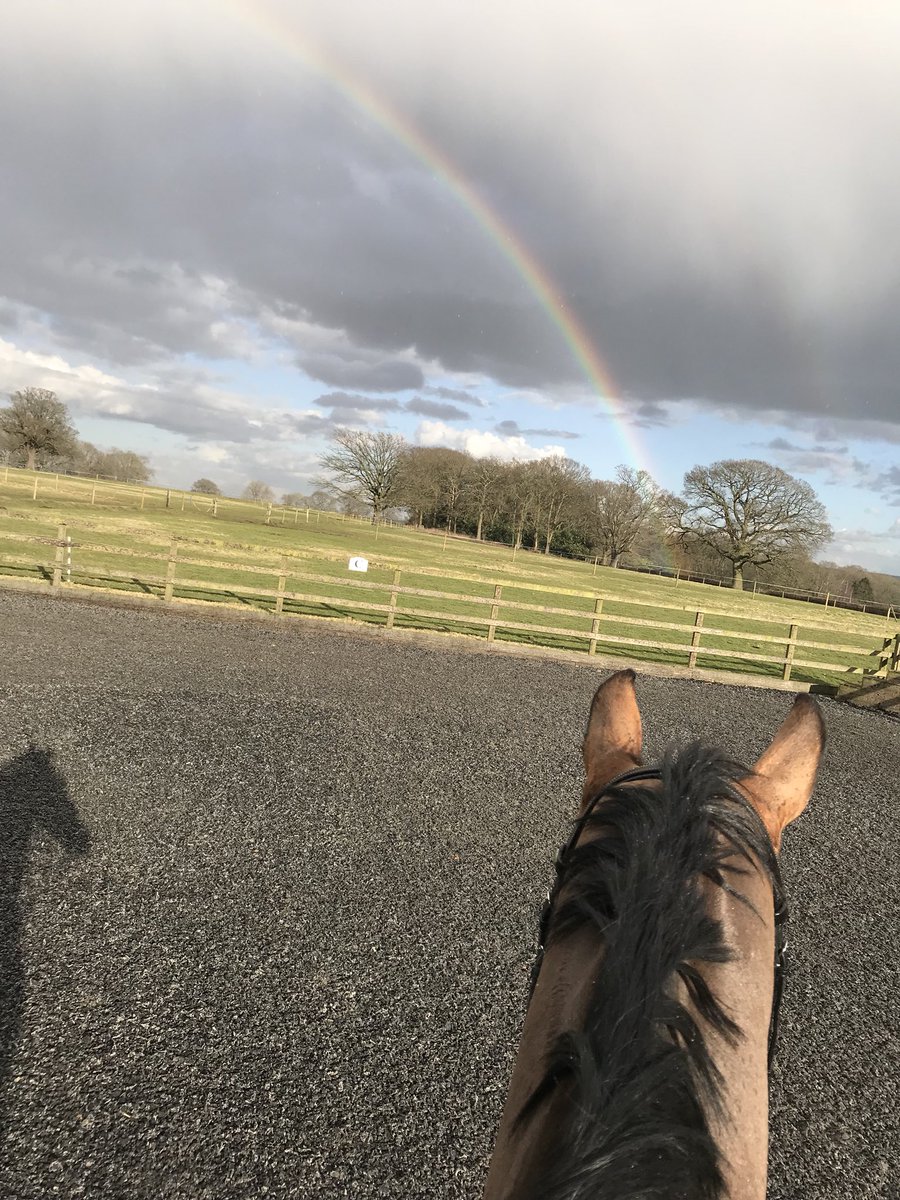 Ani & Porscha tweet media