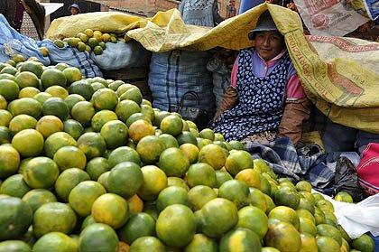 Hoy, menos del 20% de los terratenientes en todo el mundo son #Mujeres las zonas rurales,la brecha salarial de género llega al 40%.Las mujeres de la economía rural deberían tener mayor voz, organización y representación impulsadas por el diálogo social y la negociación colectiva.