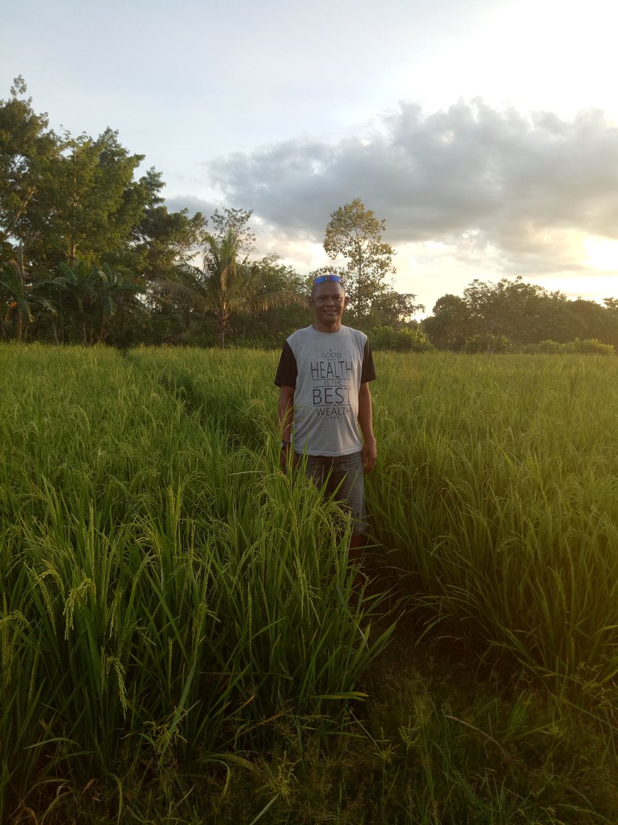 GaraiPace's tweet photo. Prukdes produk ungunlan kab,  teluk bintuni papua barat
#TPPIPaBar 
@jokowi 
@EkoSandjojo 
@tppindonesia 
@jeffrykareth https://t.co/Oo2b1NORlO