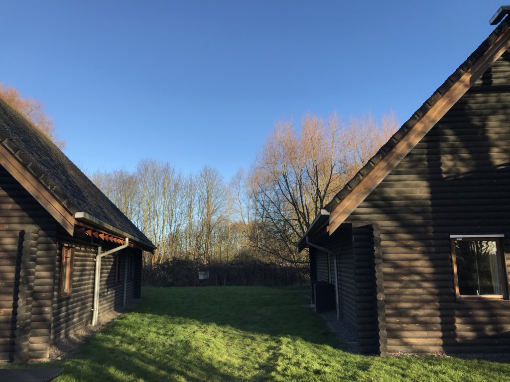 Water Street Primary tweet media