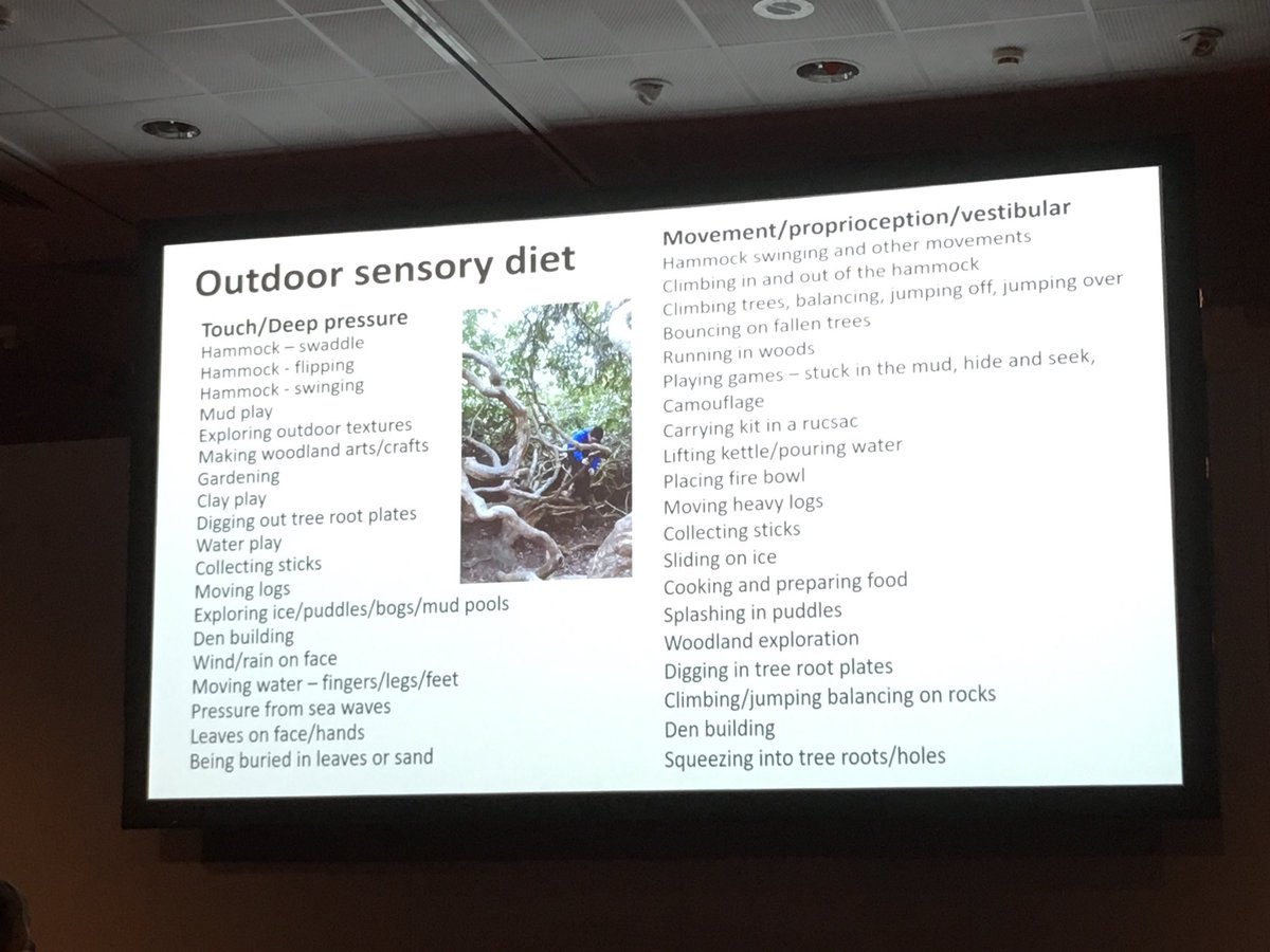 anna_westaway's tweet image. Esther Gooch from Outdoor Woodland Learning School CIC: wonderful FREE sensory diet opportunities and tools from a woodland environment! #profconf @autism @axcis @networkautism